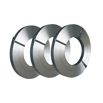 Monel 400 Strip